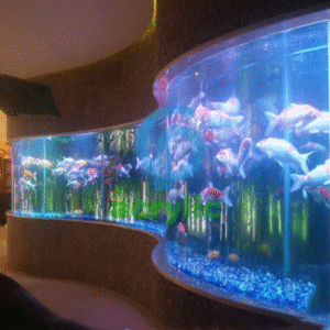 big round fish tank,brid hand tools brid hand tools aquarium aquarium hand toolsaquarium maintenance hand tools aquarium tools for tank care ,buy brid hand tools online ,brid hand tools for sale, aquarium hand maintenance tools, professional aquarium hand tools premium aquarium hand tools, aquarium cleaning hand tools,aquarium maintenance tools, aquarium tool kit, fish tank hand tools, hand tools for aquarium setup, brid hand tools hong kong, aquarium hand tools hong kong, aquarium maintenance tools HK