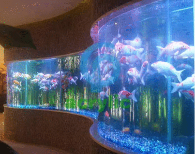 big round fish tank,brid hand tools brid hand tools aquarium aquarium hand toolsaquarium maintenance hand tools aquarium tools for tank care ,buy brid hand tools online ,brid hand tools for sale, aquarium hand maintenance tools, professional aquarium hand tools premium aquarium hand tools, aquarium cleaning hand tools,aquarium maintenance tools, aquarium tool kit, fish tank hand tools, hand tools for aquarium setup, brid hand tools hong kong, aquarium hand tools hong kong, aquarium maintenance tools HK