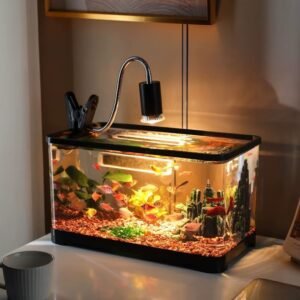 fish tank aquarium catfish