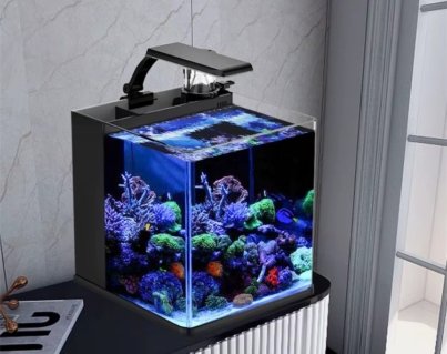 aquarium fish tank supplier