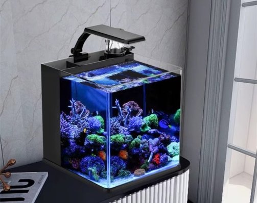 aquarium fish tank supplier