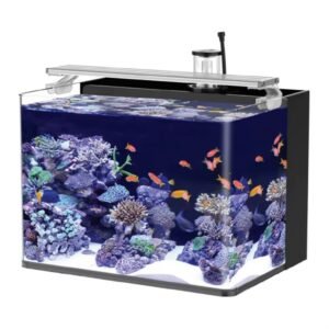 aquarium fish tank for sale