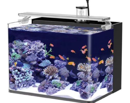aquarium fish tank for sale