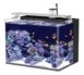 aquarium fish tank for sale
