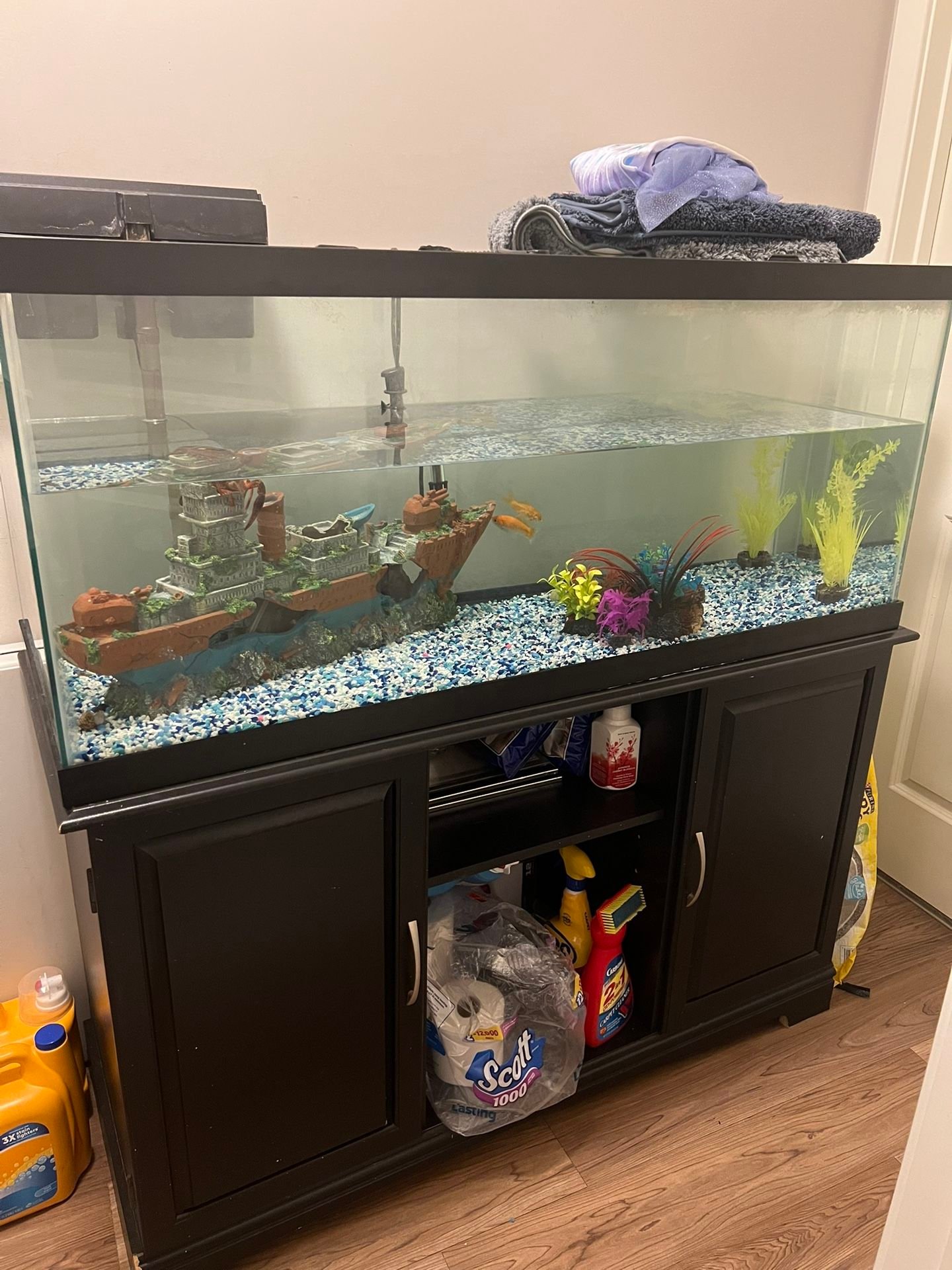 12371f16e53f4010a5e40fe5aab23ff0