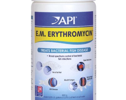 api_erythromycin_bulk_powder_850g_700x700__96145__19026