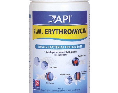 api_erythromycin_bulk_powder_850g_700x700__96145__19026