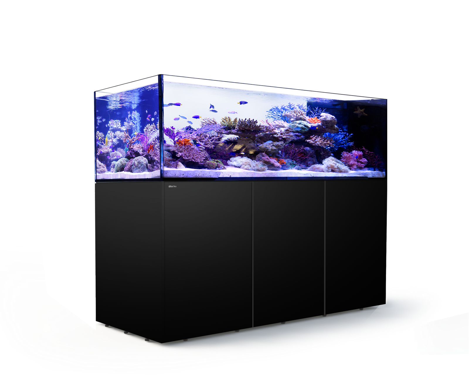 Moore Aquarium