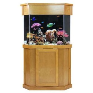 Clear-for-Life 125-Gallon Pentagon Acrylic Aquarium Setup Clear-for-Life 125-Gallon Pentagon Acrylic Aquarium Setup