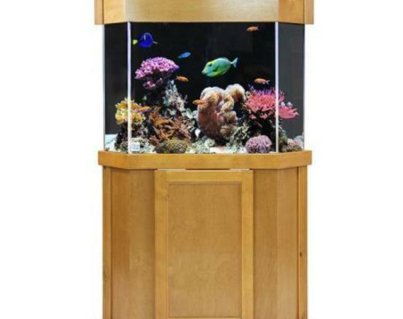 k2_80dac97014ae4213975b6e54f88ee05a.v1__29905.1608318384.1280.1280__31700