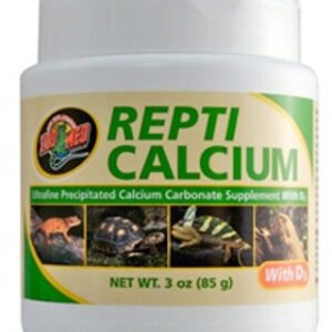 Reptile