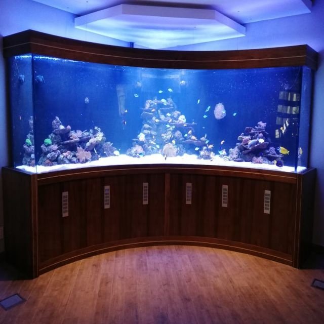 Complete Guide to Choosing the Right Aquarium Equipment for Marine & Reef Tanks